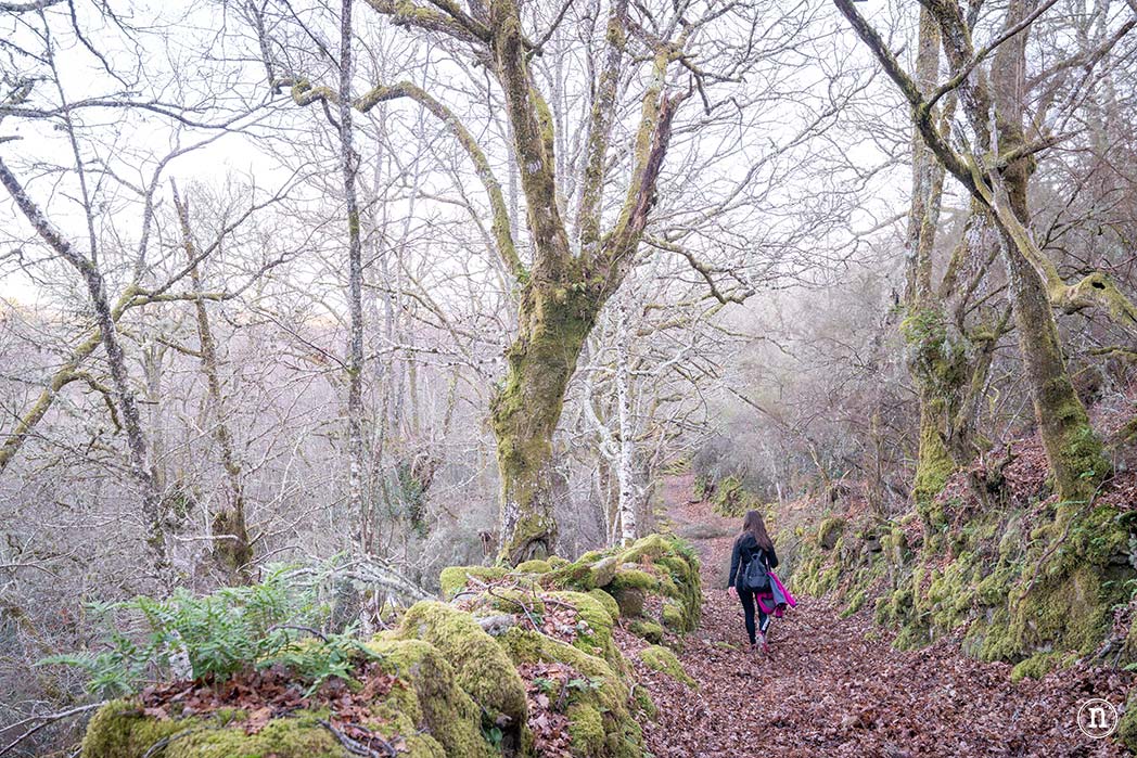 Cañón del Sil y sus miradores