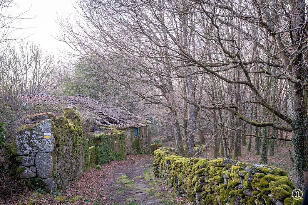 Cañón del Sil y sus miradores