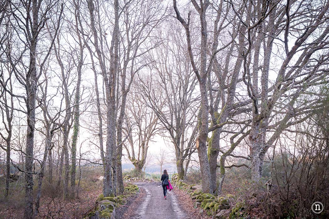 Cañón del Sil y sus miradores