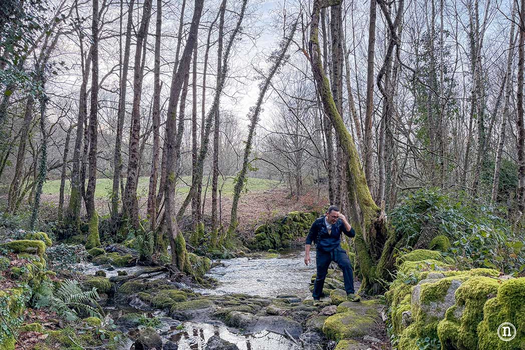 Cañón del Sil y sus miradores