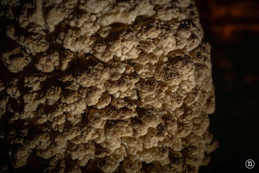 Clearwater and Wind Cave, dos cuevas increíbles en P. N. de Mulu