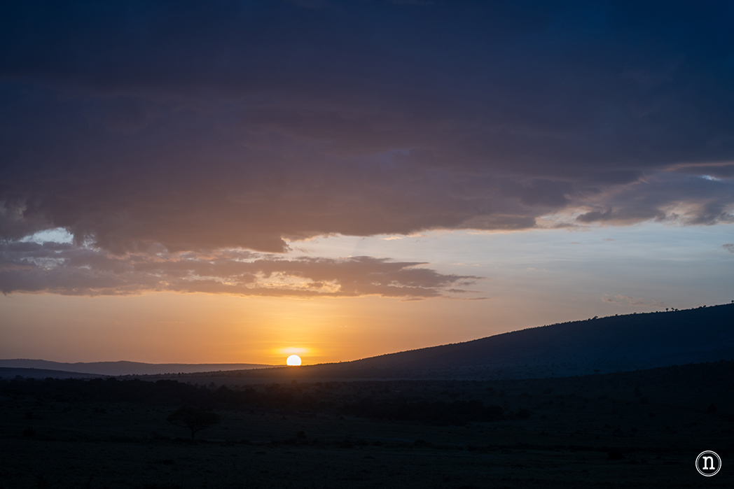 Masái Mara, Kenia, el safari y el amanecer más bonito del mundo