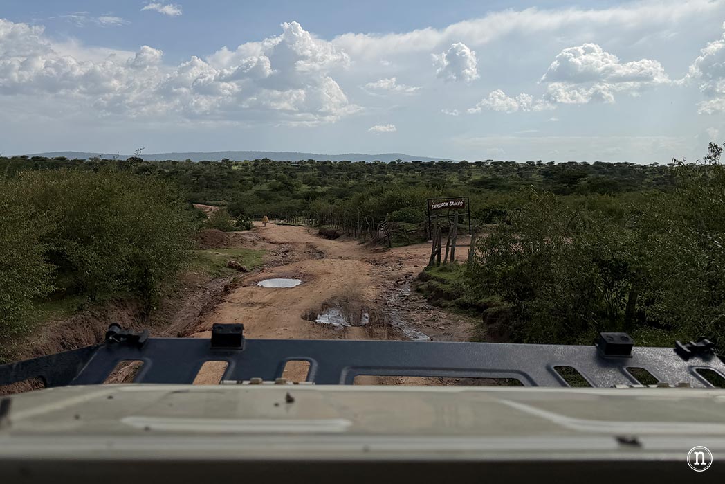 Masái Mara, Kenia, el safari y el amanecer más bonito del mundo