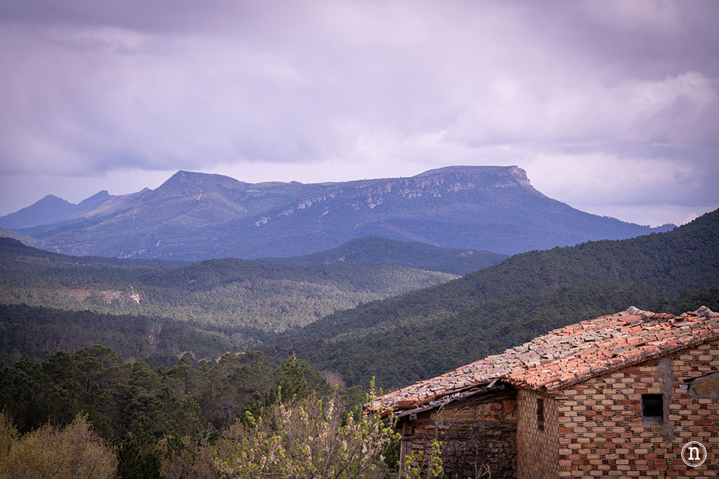 Ruta de los cerezos en el Valle de Las Caderechas 