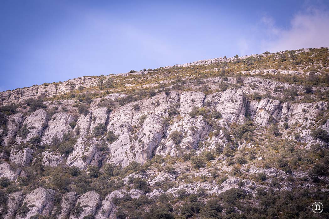 Ruta de los cerezos en el Valle de Las Caderechas 