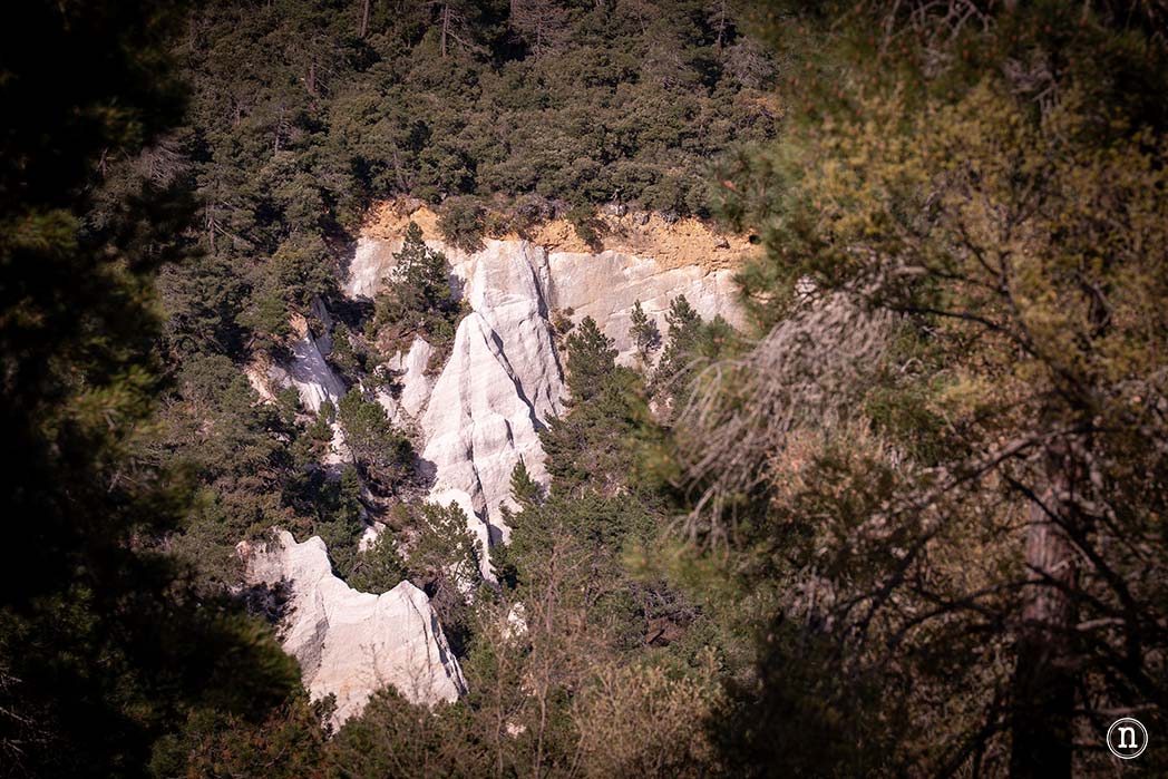 Ruta de los cerezos en el Valle de Las Caderechas