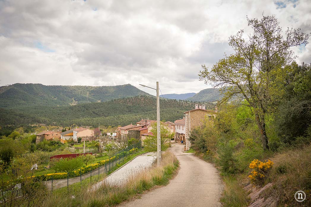 Ruta de los cerezos en el Valle de Las Caderechas