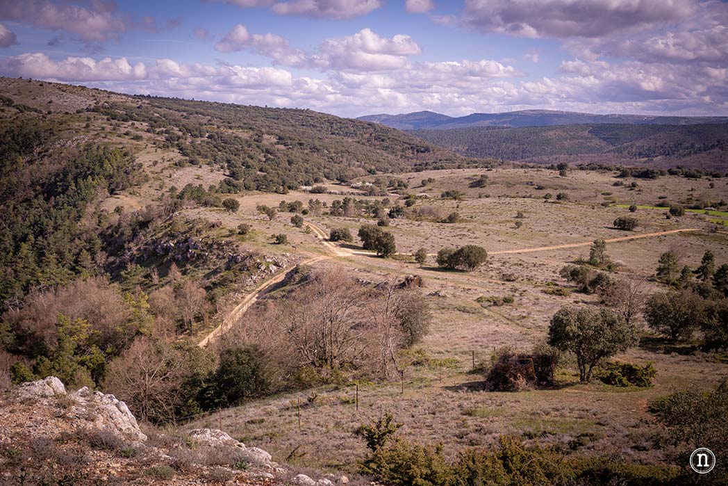 Ruta de los cerezos en el Valle de Las Caderechas