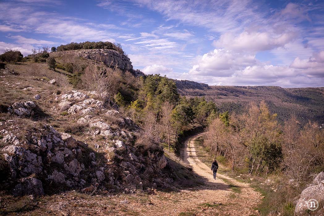 Ruta de los cerezos en el Valle de Las Caderechas
