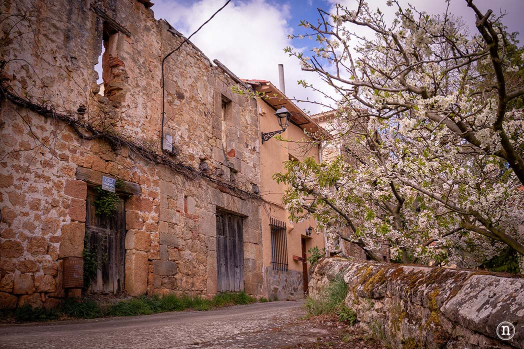 Ruta de los cerezos en el Valle de Las Caderechas