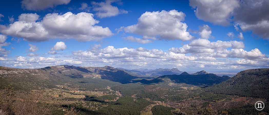 Ruta de los cerezos en el Valle de Las Caderechas
