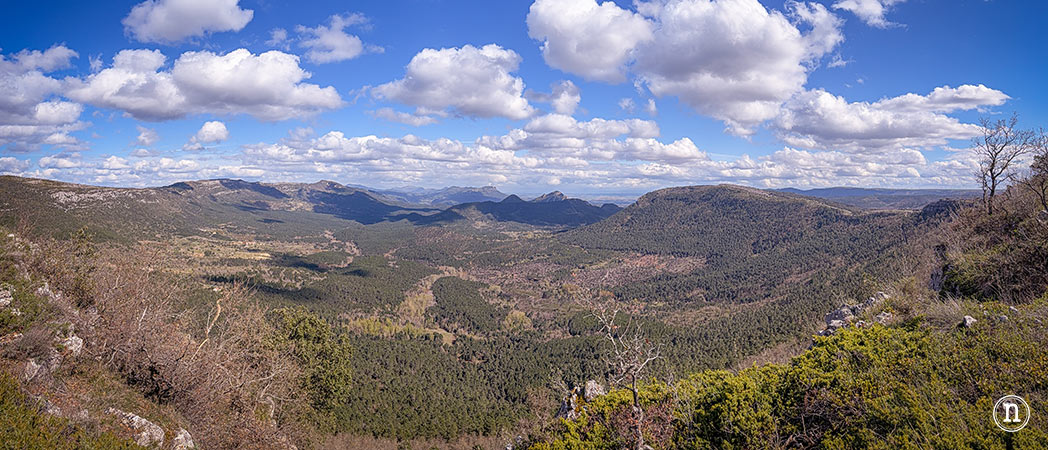 Ruta de los cerezos en el Valle de Las Caderechas