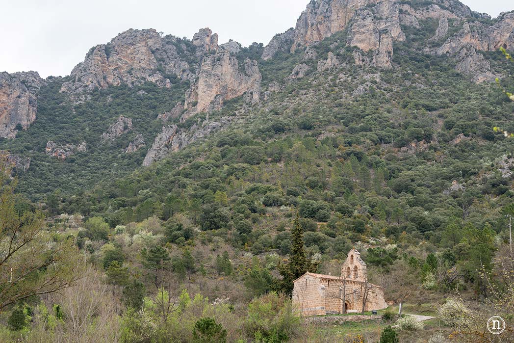 Ruta de los cerezos en el Valle de Las Caderechas, Burgos 