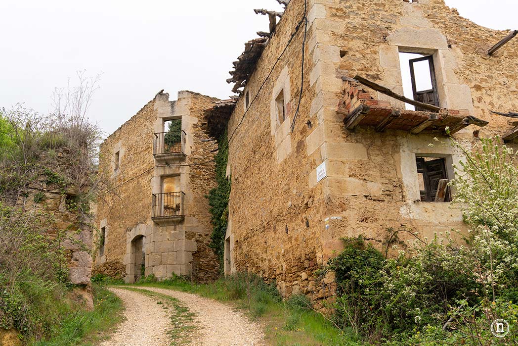 Ruta de los cerezos en el Valle de Las Caderechas, Burgos