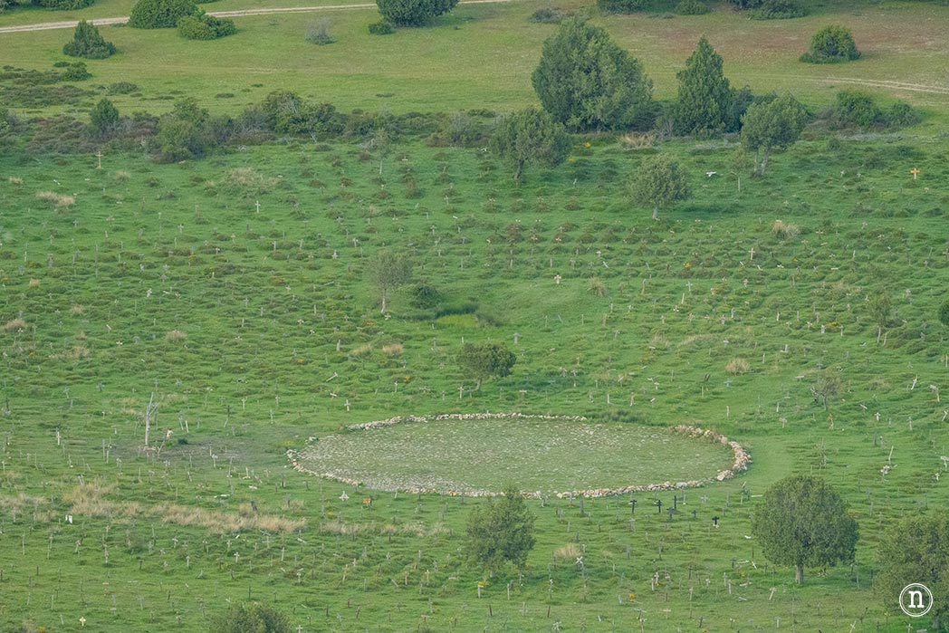Valle del Arlanza, Burgos sabinas, gamones y paisajes increíbles 