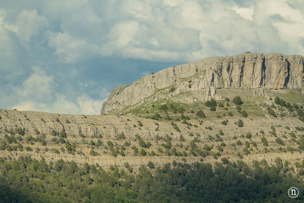 Valle del Arlanza, Burgos sabinas, gamones y paisajes increíbles 