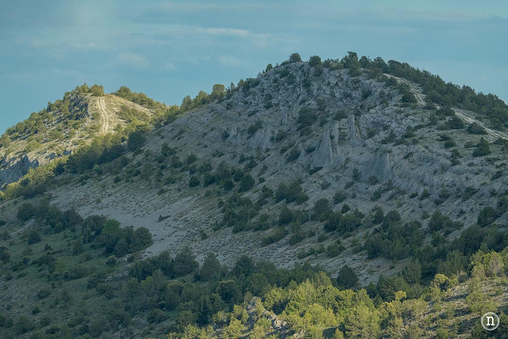 Valle del Arlanza, Burgos sabinas, gamones y paisajes increíbles