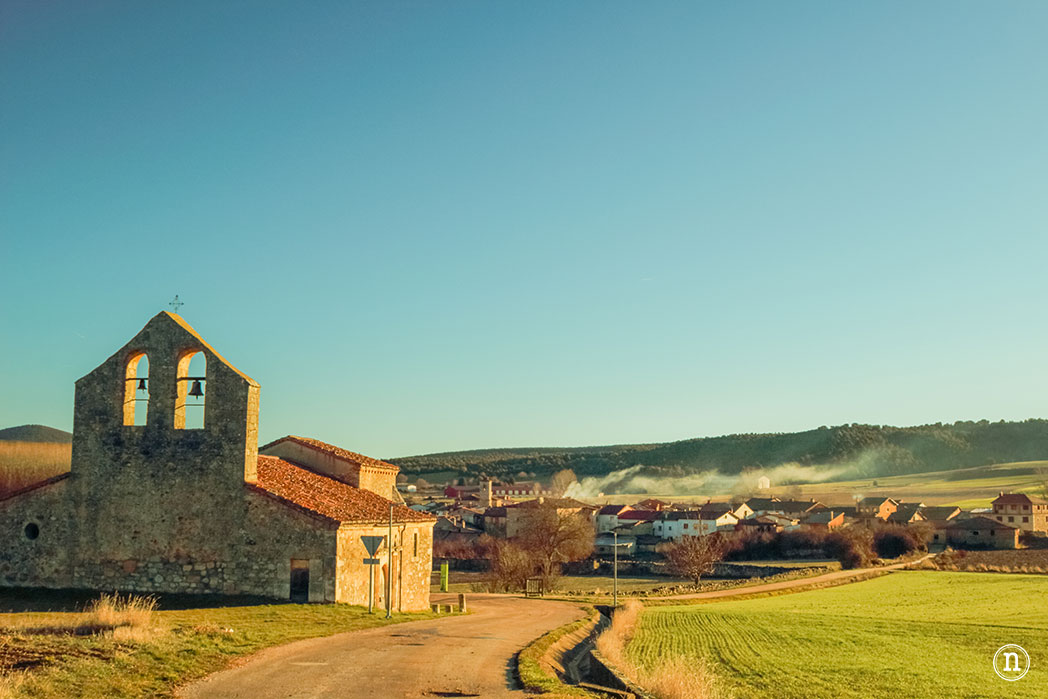 Valle del Arlanza, Burgos sabinas, gamones y paisajes increíbles 