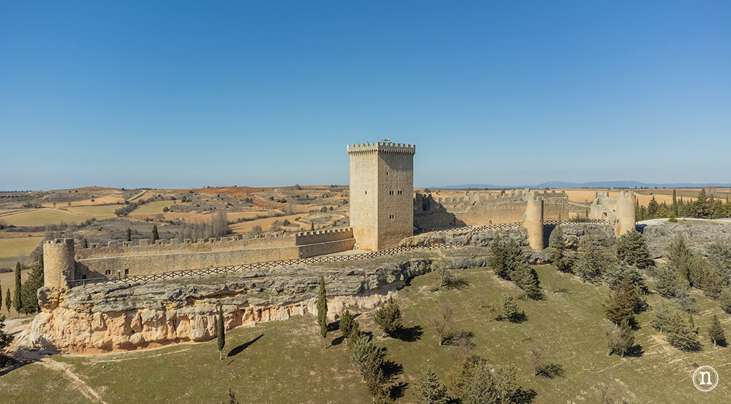 Campos de Lavanda de Caleruega (Burgos) La Guía Definitiva 