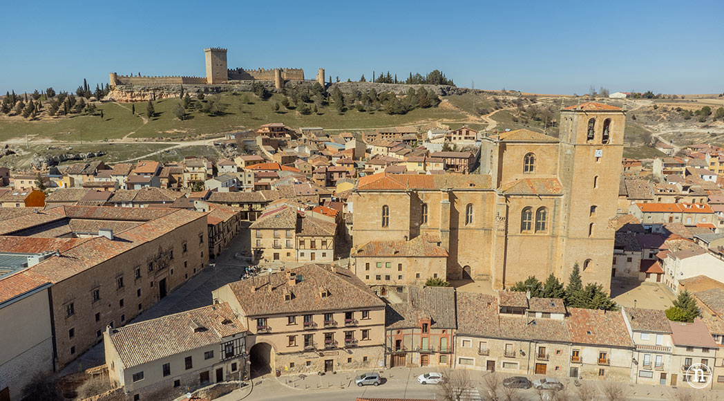 Campos de Lavanda de Caleruega (Burgos) La Guía Definitiva 