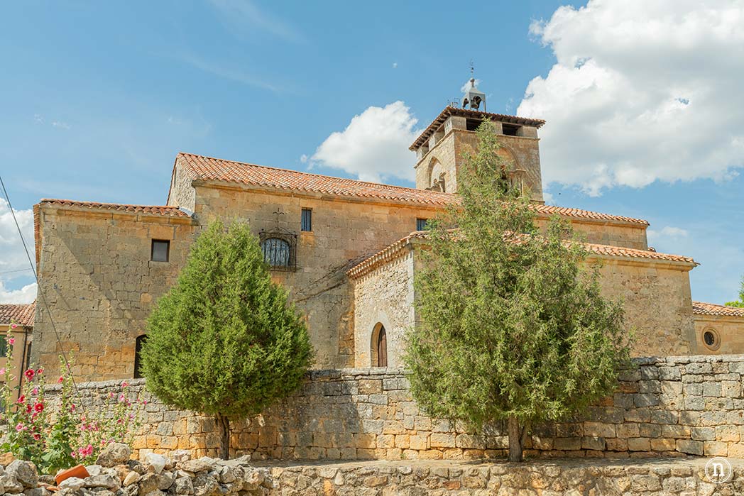 Campos de Lavanda de Caleruega (Burgos) La Guía Definitiva