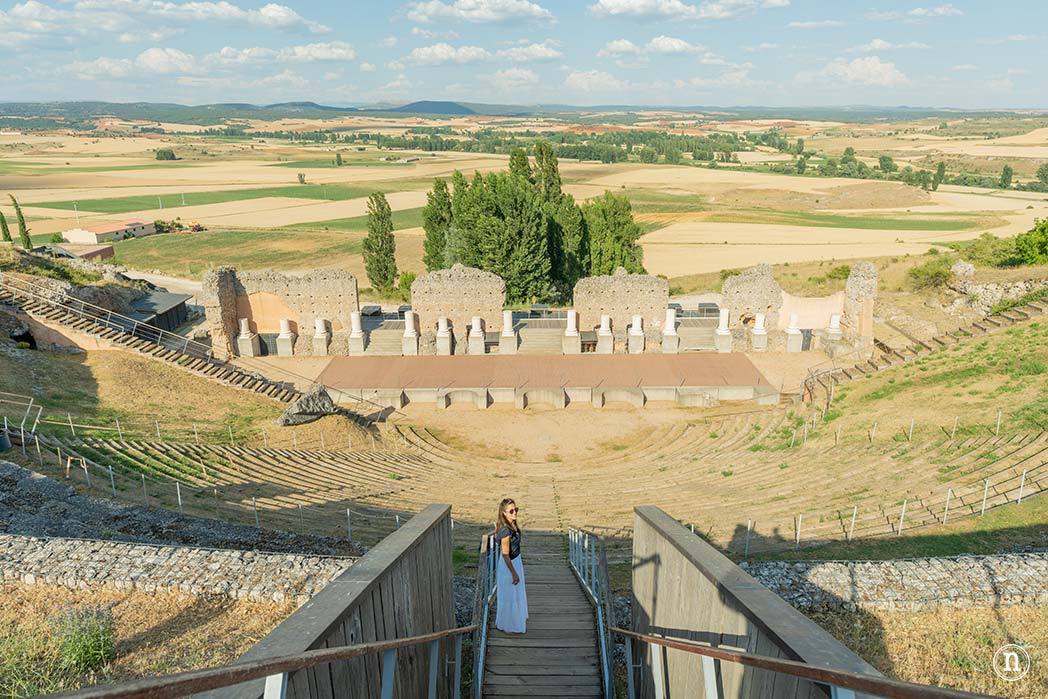 Campos de Lavanda de Caleruega (Burgos) La Guía Definitiva