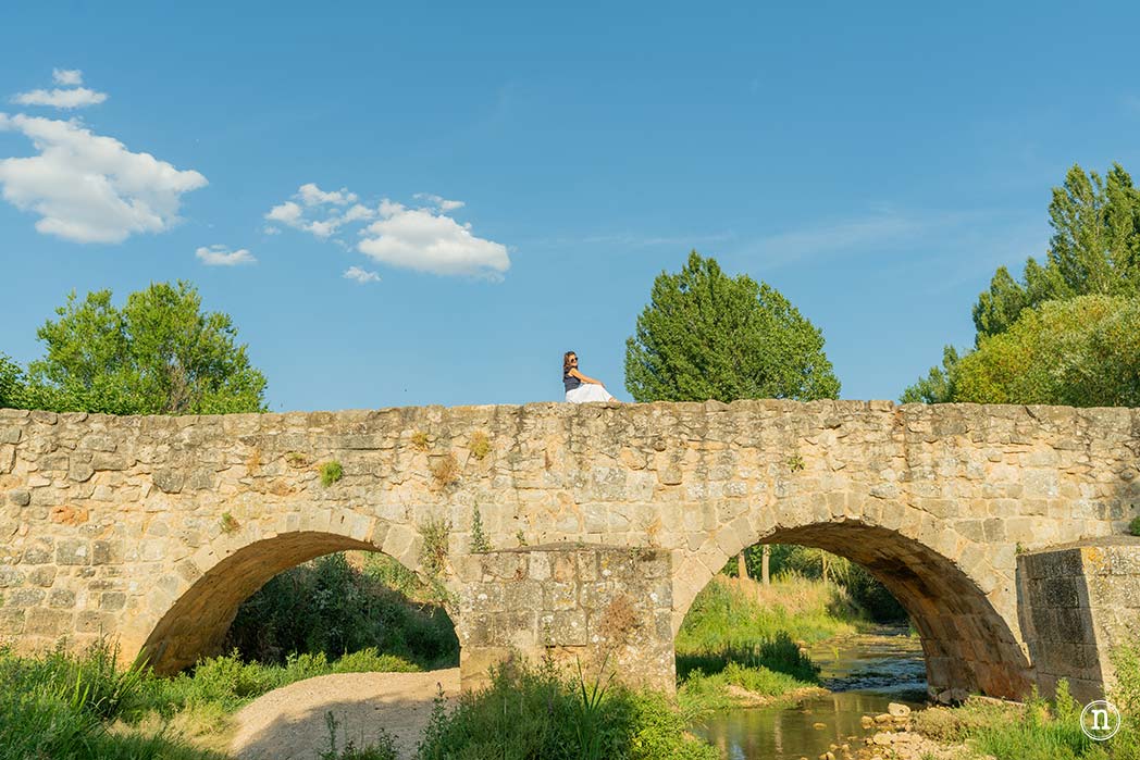 Campos de Lavanda de Caleruega (Burgos) La Guía Definitiva