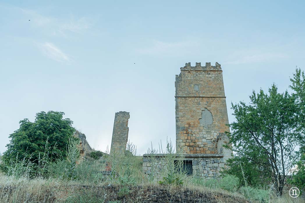 Campos de Lavanda de Caleruega (Burgos) La Guía Definitiva