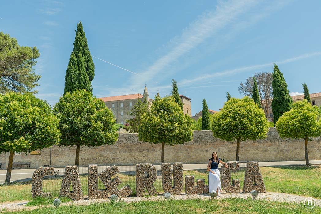 Campos de Lavanda de Caleruega (Burgos) La Guía Definitiva
