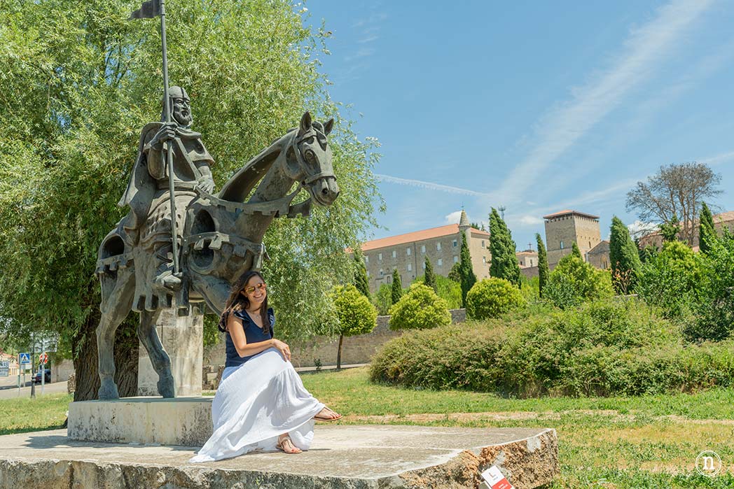 Campos de Lavanda de Caleruega (Burgos) La Guía Definitiva