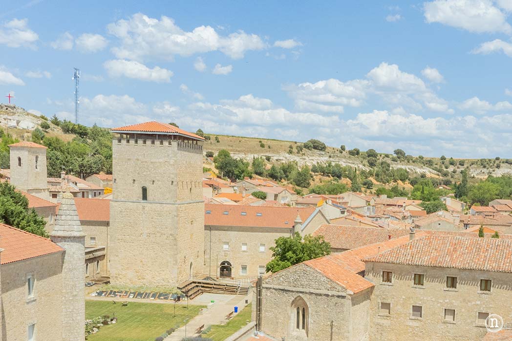 Campos de Lavanda de Caleruega (Burgos) La Guía Definitiva