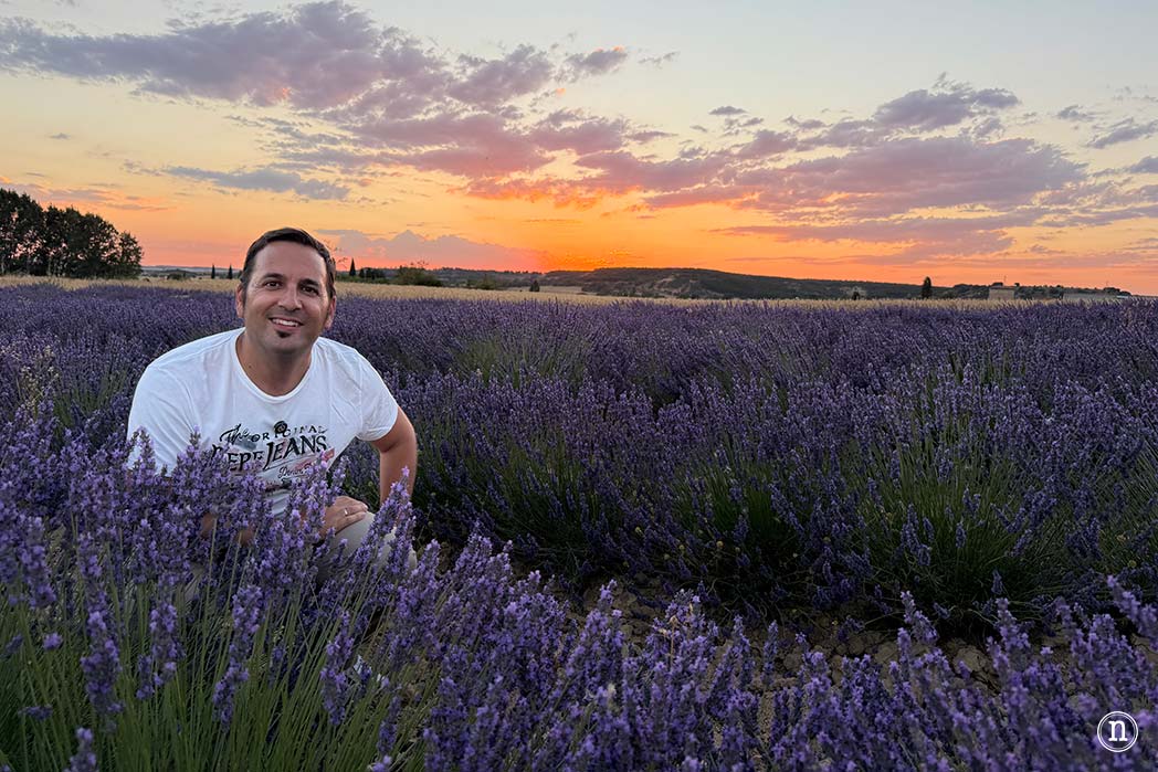 Campos de Lavanda de Caleruega (Burgos) La Guía Definitiva