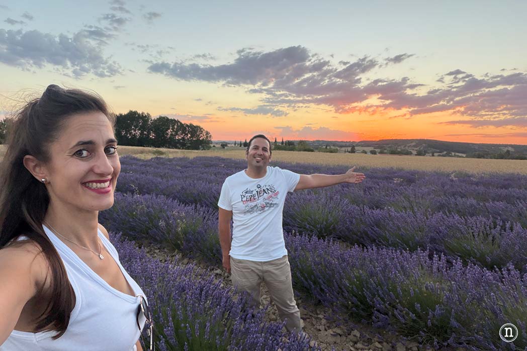 Campos de Lavanda de Caleruega (Burgos) La Guía Definitiva