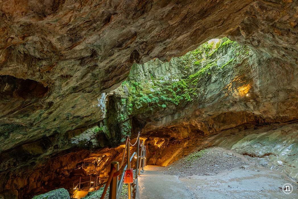 Cueva de las Güixas, Huesca hogar de brujas y murciélagos