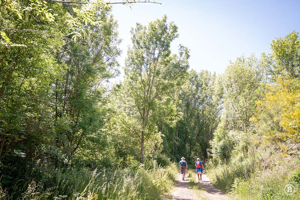 Embalse de Ruesga en Cervera de Pisuerga, Montaña Palentina