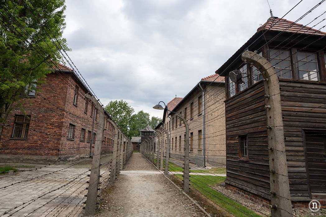 Auschwitz historia, memoria y símbolo del Holocausto