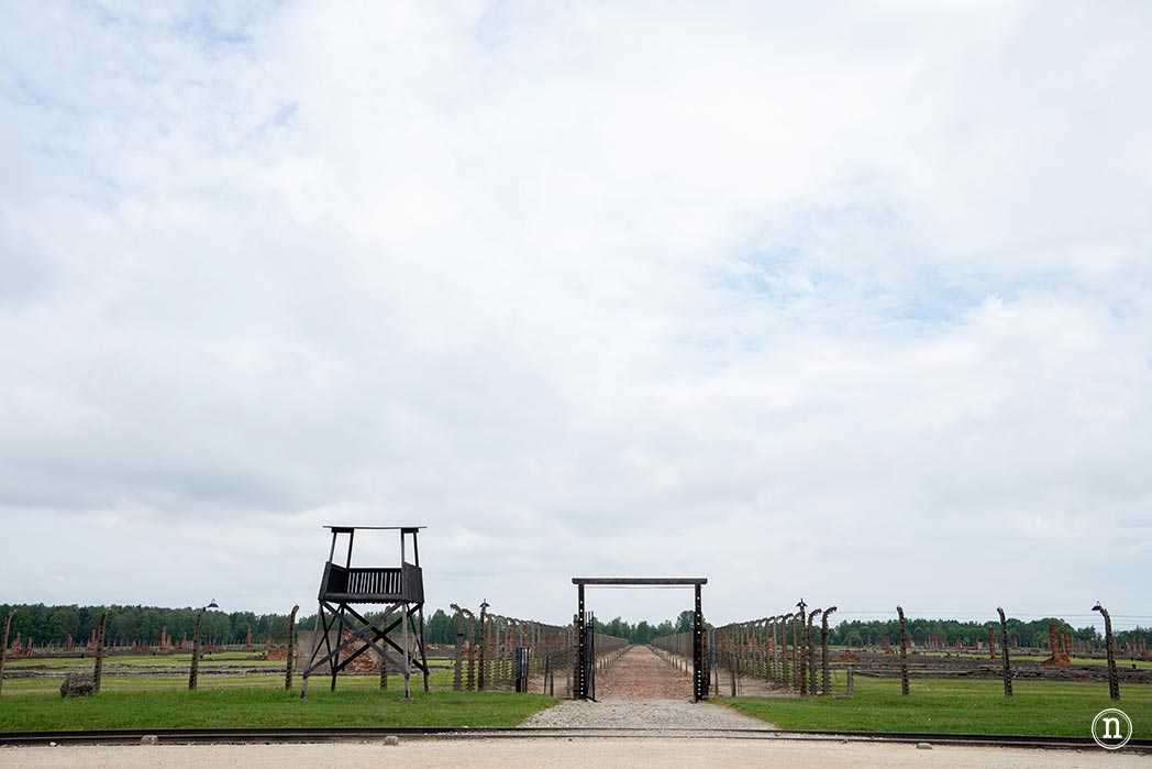 Auschwitz historia, memoria y símbolo del Holocausto