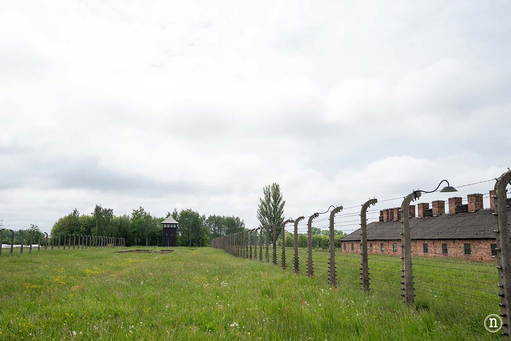 Auschwitz historia, memoria y símbolo del Holocausto