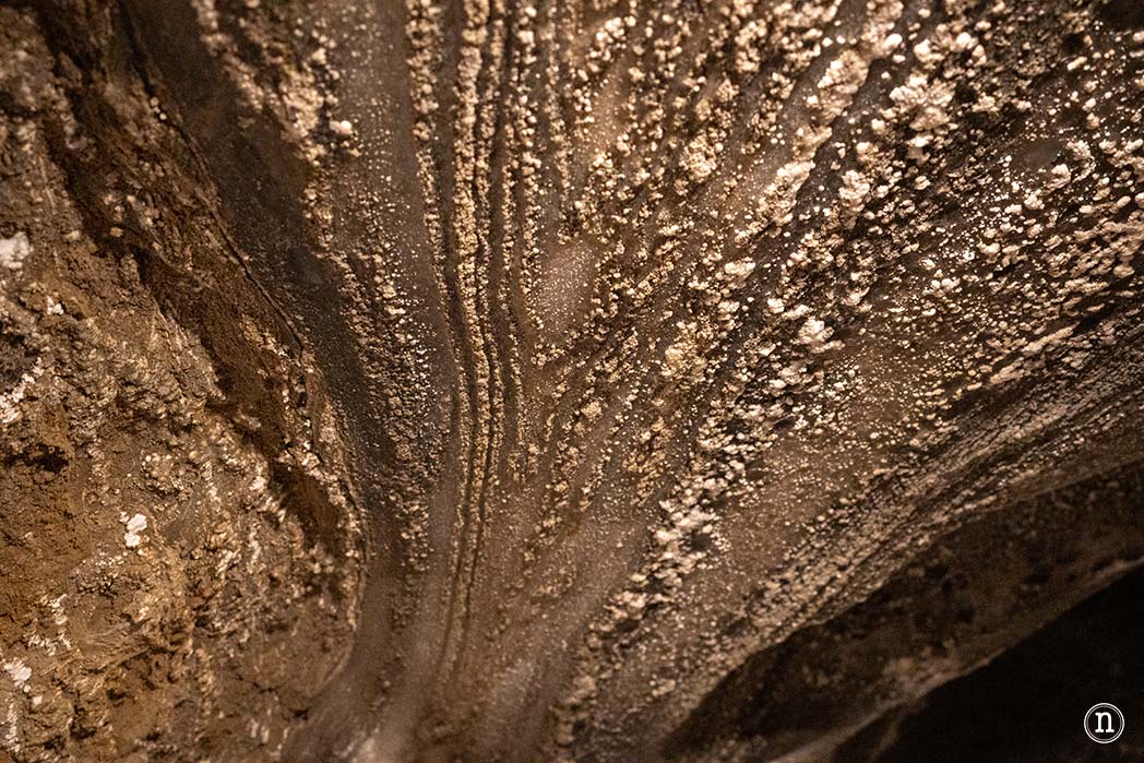 Minas de Sal de Wieliczka guía completa para tu visita en 2026
