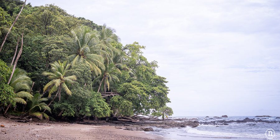 Bahía Drake que ver y hacer en el paraíso natural de Costa Rica