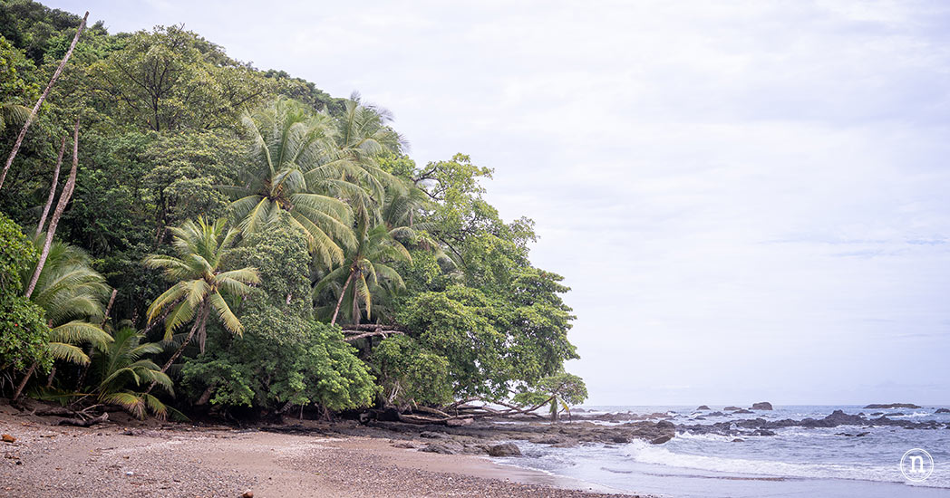 Bahía Drake que ver y hacer en el paraíso natural de Costa Rica