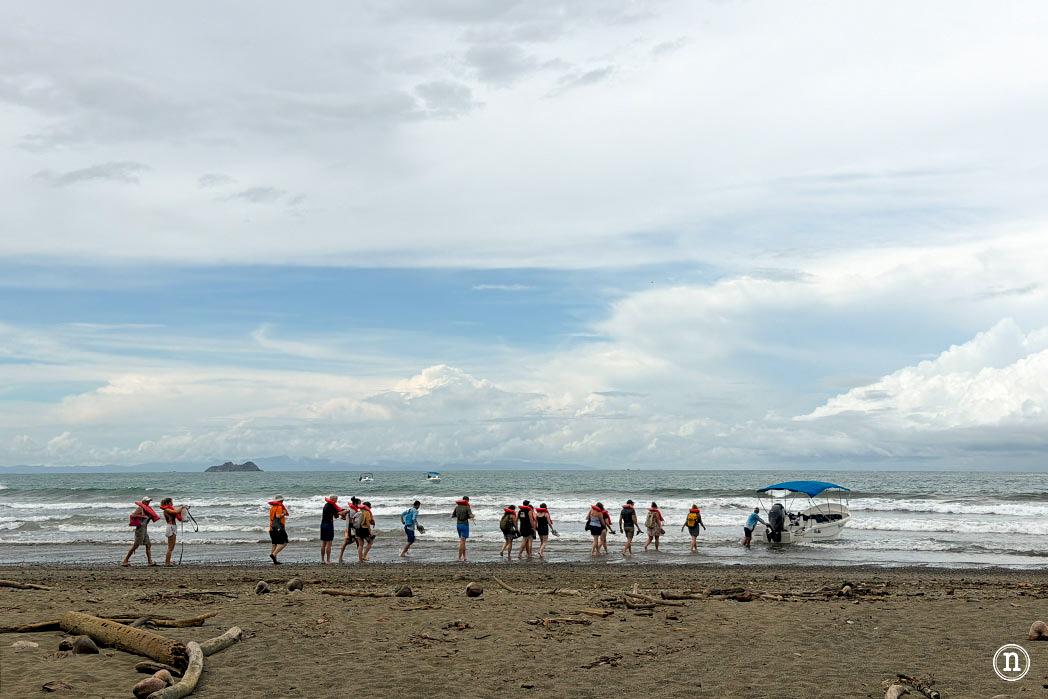 Ballenas en Uvita cuándo y cómo verlas en Costa Rica