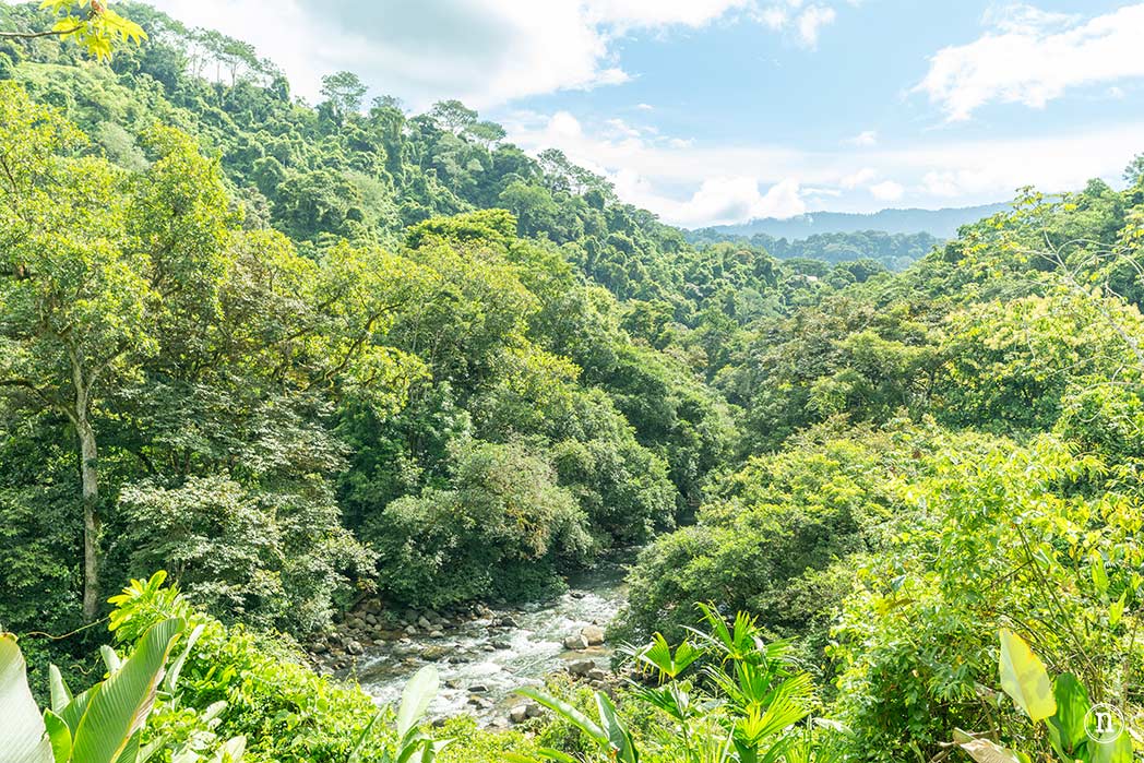 Cataratas Nauyaca el rugido del agua en plena selva, Costa Rica