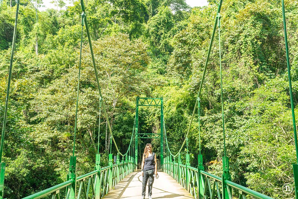 Cataratas Nauyaca el rugido del agua en plena selva, Costa Rica