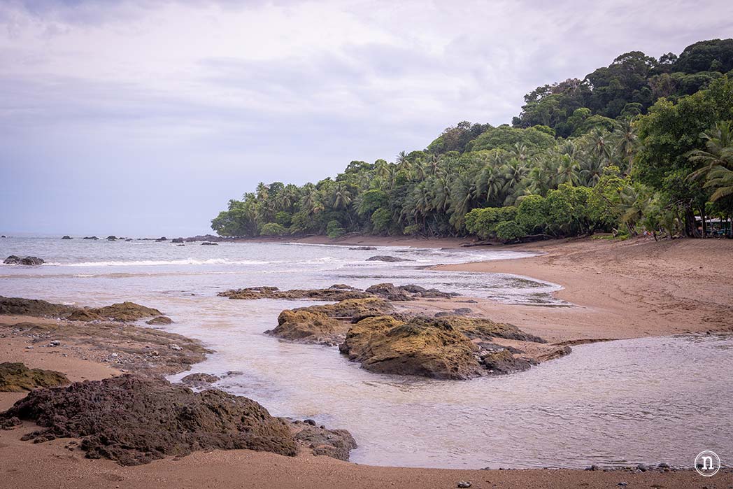 Parque Nacional Corcovado desde Bahía Drake el lugar más salvaje de Costa Rica