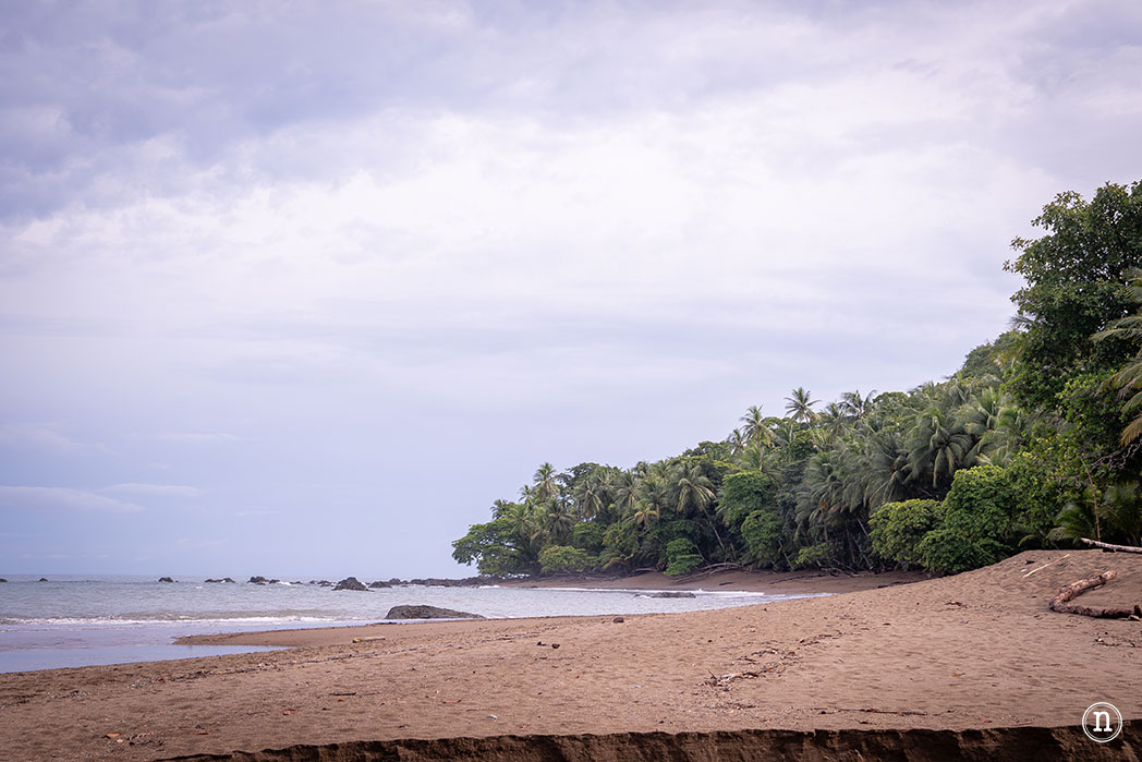 Parque Nacional Corcovado desde Bahía Drake el lugar más salvaje de Costa Rica