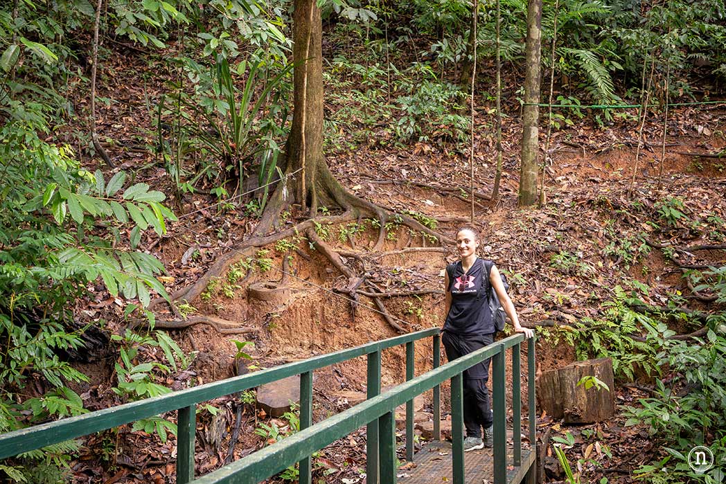 Parque Nacional Corcovado el lugar más salvaje de Costa Rica Bahía Drake