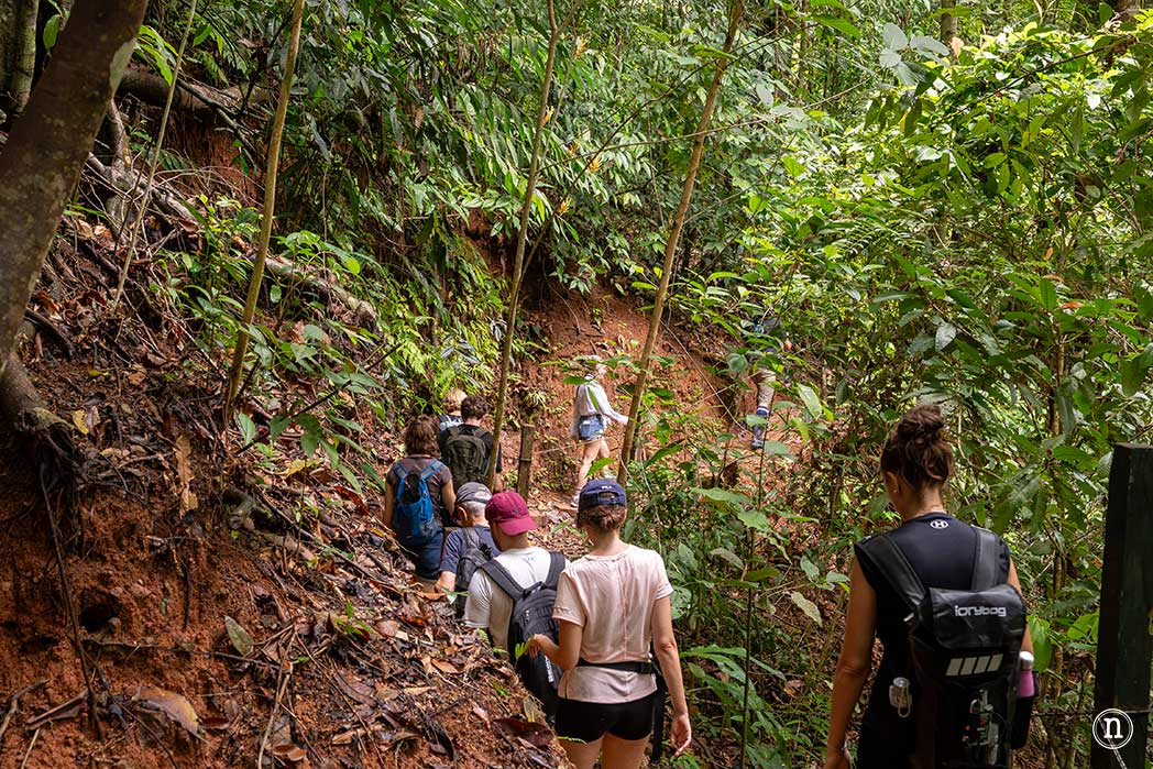 Parque Nacional Corcovado desde Bahía Drake el lugar más salvaje de Costa Rica