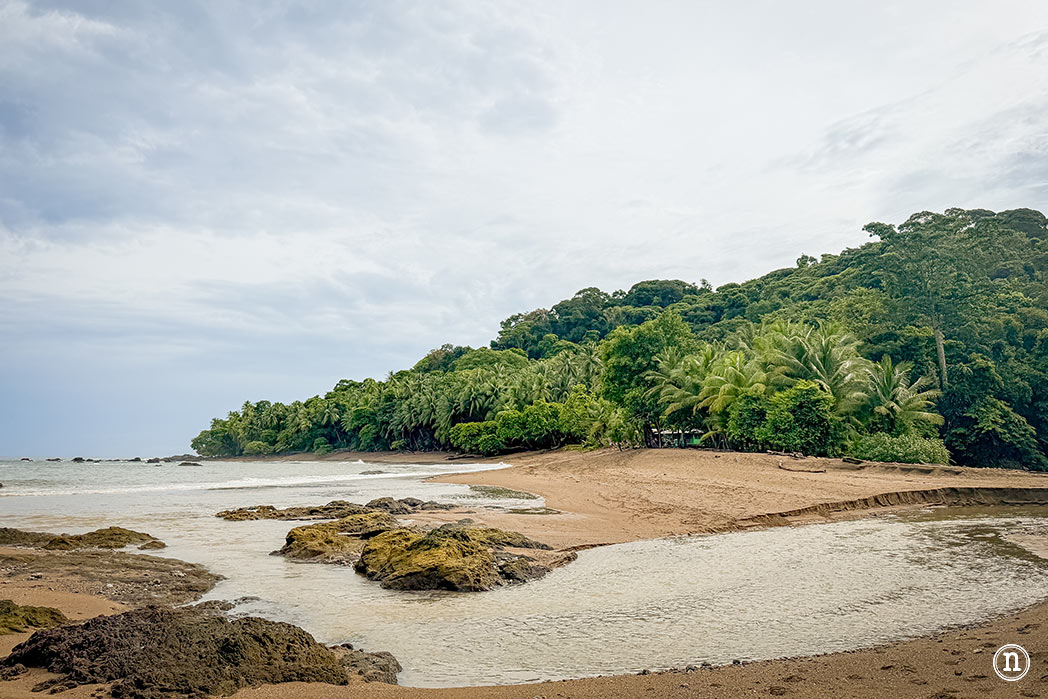 Parque Nacional Corcovado desde Bahía Drake el lugar más salvaje de Costa Rica
