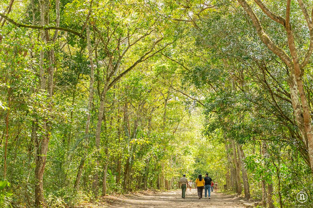 Ruinas de Copán, la ciudad maya de Honduras